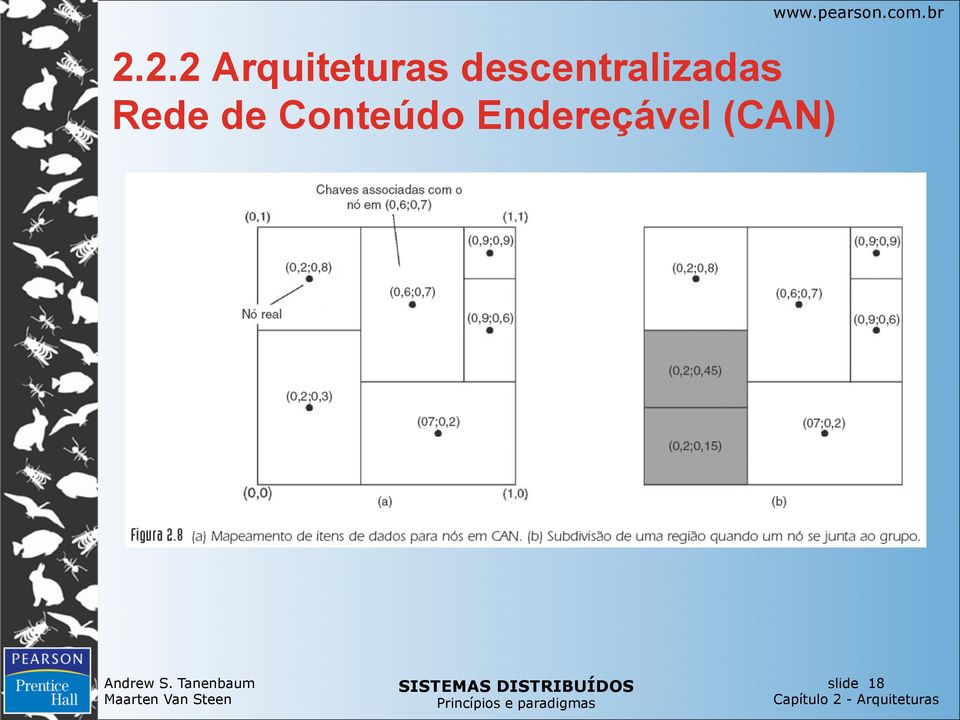 Rede de Conteúdo