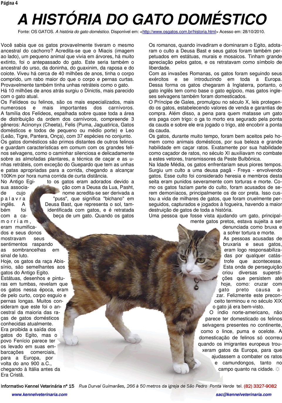 Acredita-se que o Miacis (imagem ao lado), um pequeno animal que vivia em árvores, há muito extinto, foi o antepassado do gato.