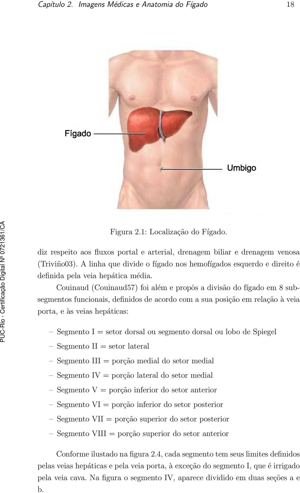 Couinaud (Couinaud57) foi além e propôs a divisão do fígado em 8 subsegmentos funcionais, definidos de acordo com a sua posição em relação à veia porta, e às veias hepáticas: Segmento I = setor