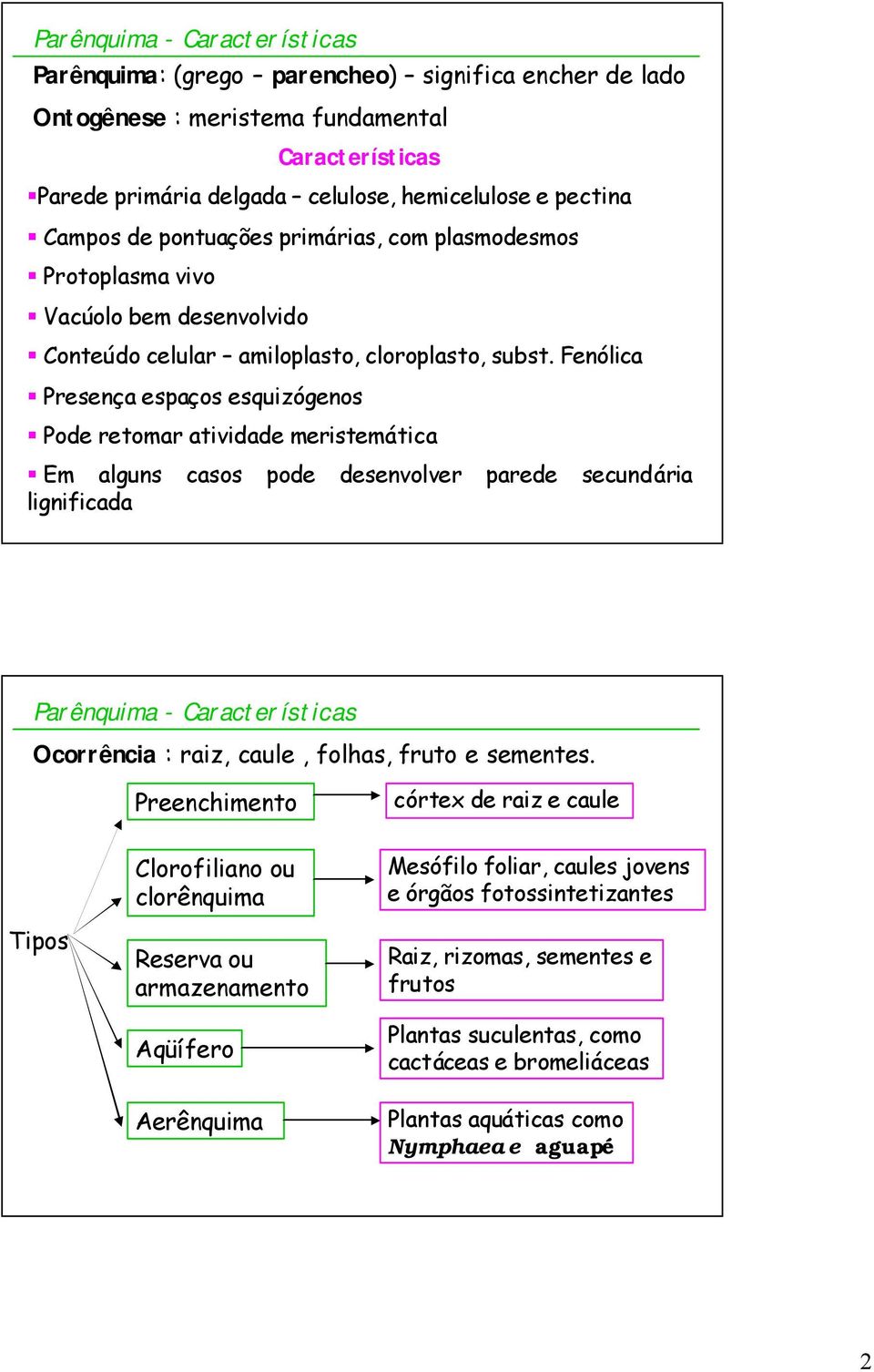 Fenólica Presença espaços esquizógenos Pode retomar atividade meristemática Em alguns casos pode desenvolver parede secundária lignificada Parênquima - Características Ocorrência : raiz, caule,