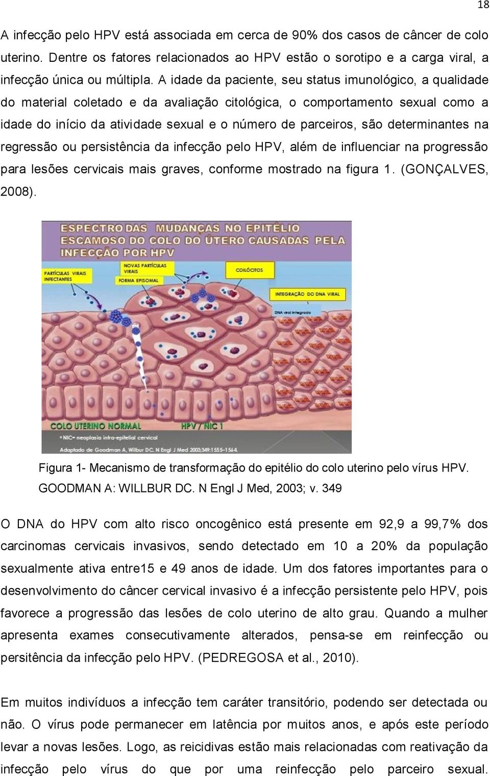 determinantes na regressão ou persistência da infecção pelo HPV, além de influenciar na progressão para lesões cervicais mais graves, conforme mostrado na figura 1. (GONÇALVES, 2008).