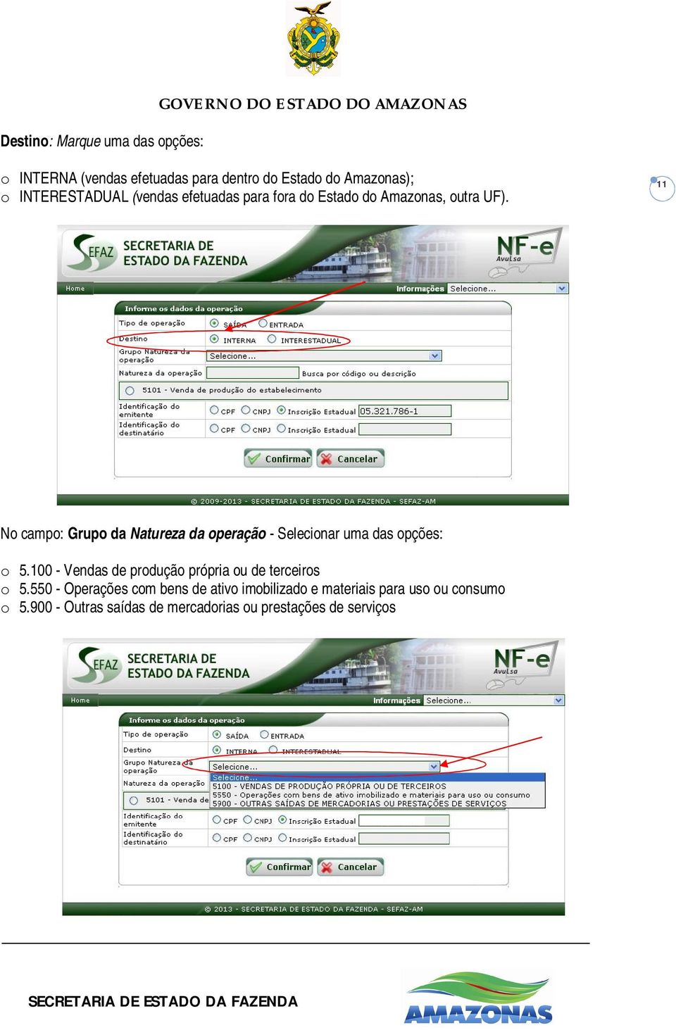 11 No campo: Grupo da Natureza da operação - Selecionar uma das opções: o 5.