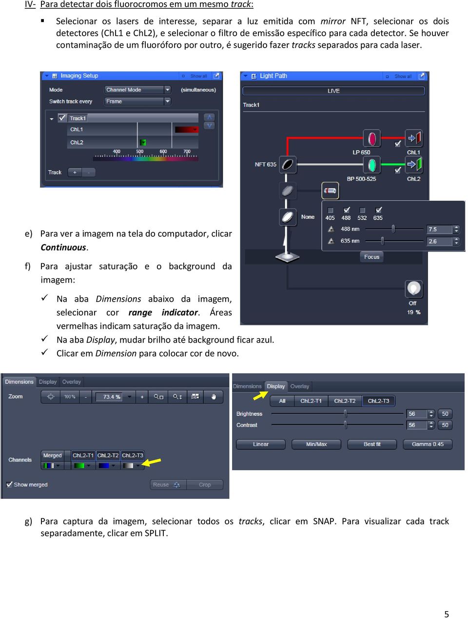 e) Para ver a imagem na tela do computador, clicar Continuous. f) Para ajustar saturação e o background da imagem: Na aba Dimensions abaixo da imagem, selecionar cor range indicator.