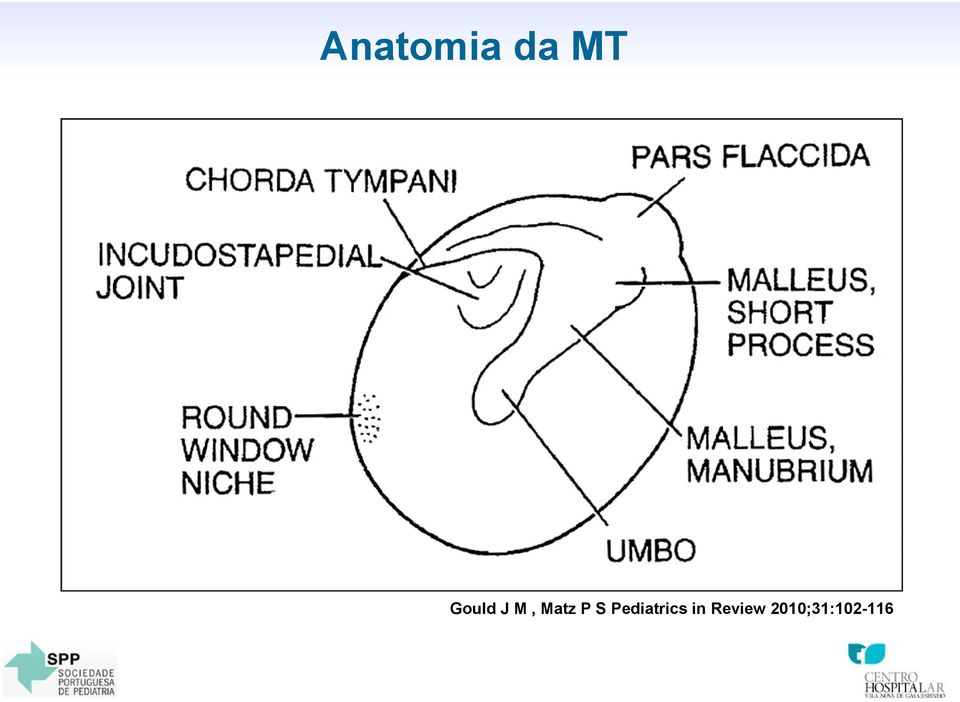 S Pediatrics in