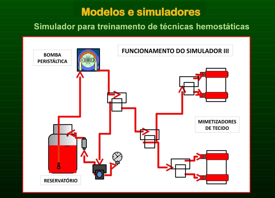 BOMBA PERISTÁLTICA FUNCIONAMENTO DO