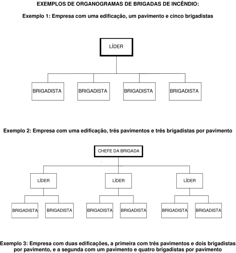 CHEFE DA BRIGADA LÍDER LÍDER LÍDER BRIGADISTA BRIGADISTA BRIGADISTA BRIGADISTA BRIGADISTA BRIGADISTA Exemplo 3: Empresa com duas