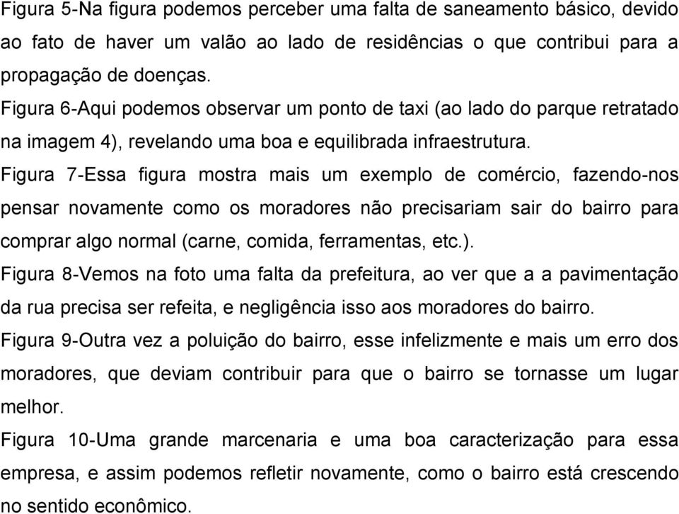 Figura 7-Essa figura mostra mais um exemplo de comércio, fazendo-nos pensar novamente como os moradores não precisariam sair do bairro para comprar algo normal (carne, comida, ferramentas, etc.).