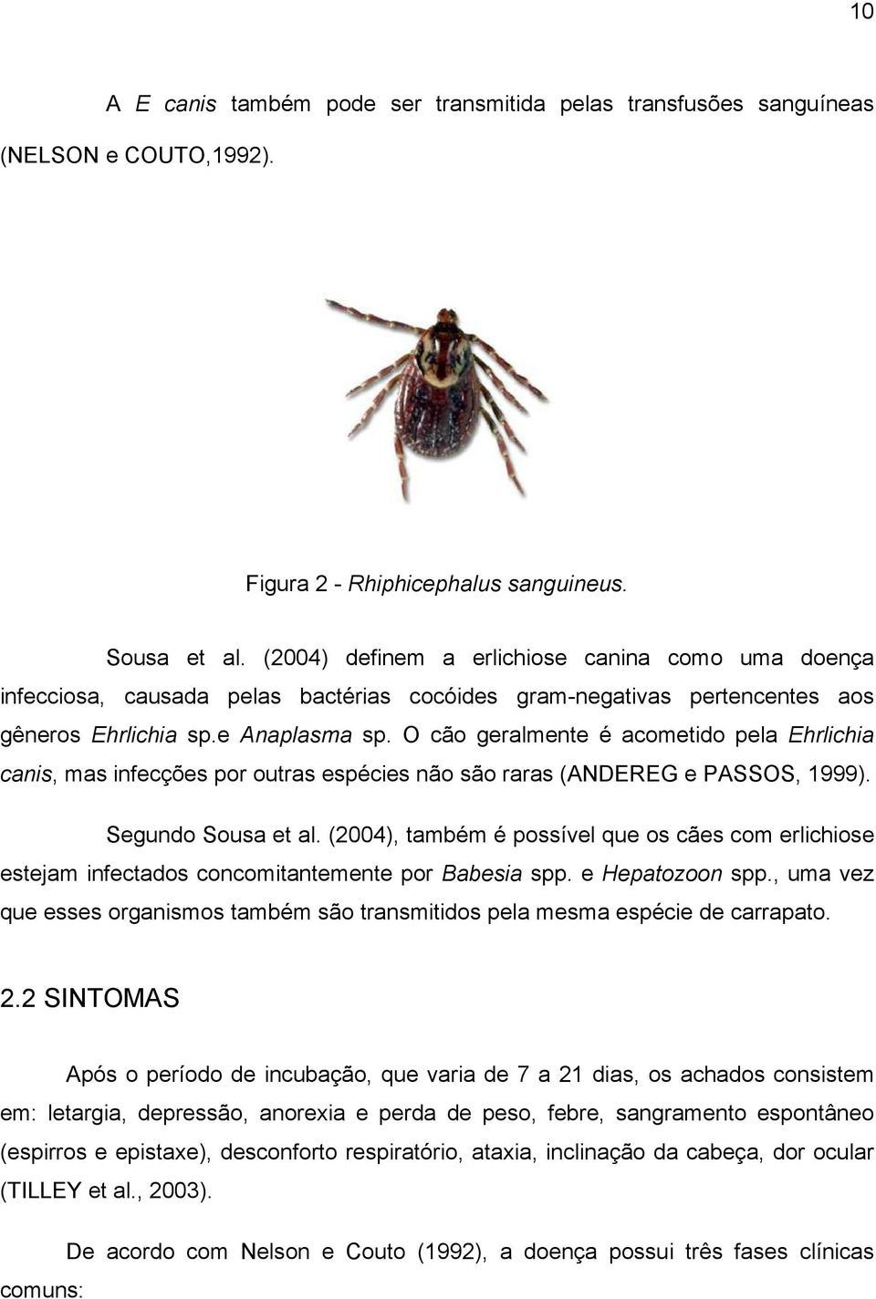 O cão geralmente é acometido pela Ehrlichia canis, mas infecções por outras espécies não são raras (ANDEREG e PASSOS, 1999). Segundo Sousa et al.