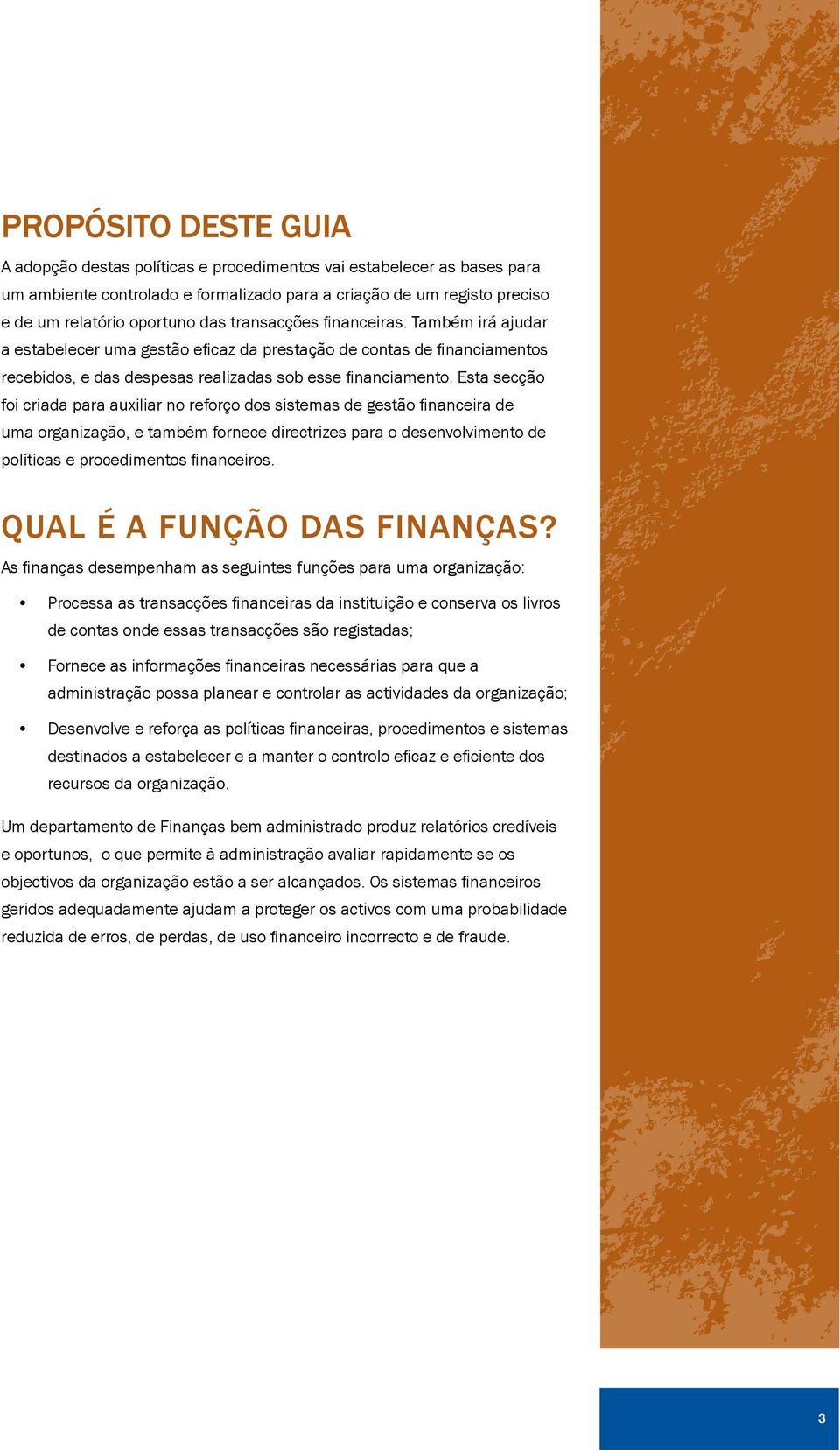 Esta secção foi criada para auxiliar no reforço dos sistemas de gestão financeira de uma organização, e também fornece directrizes para o desenvolvimento de políticas e procedimentos financeiros.