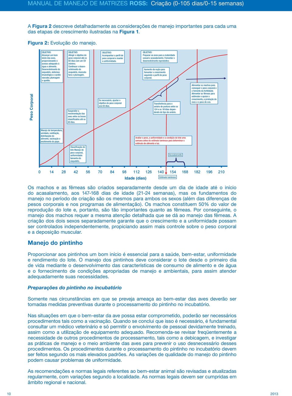 Desenvolvimento do esqueleto, sistemas imunológico e cardio vascular, plumagem e apetite. OBJETIVO: Atingir o objetivo de peso corporal até os 63 dias com um CV mínimo.