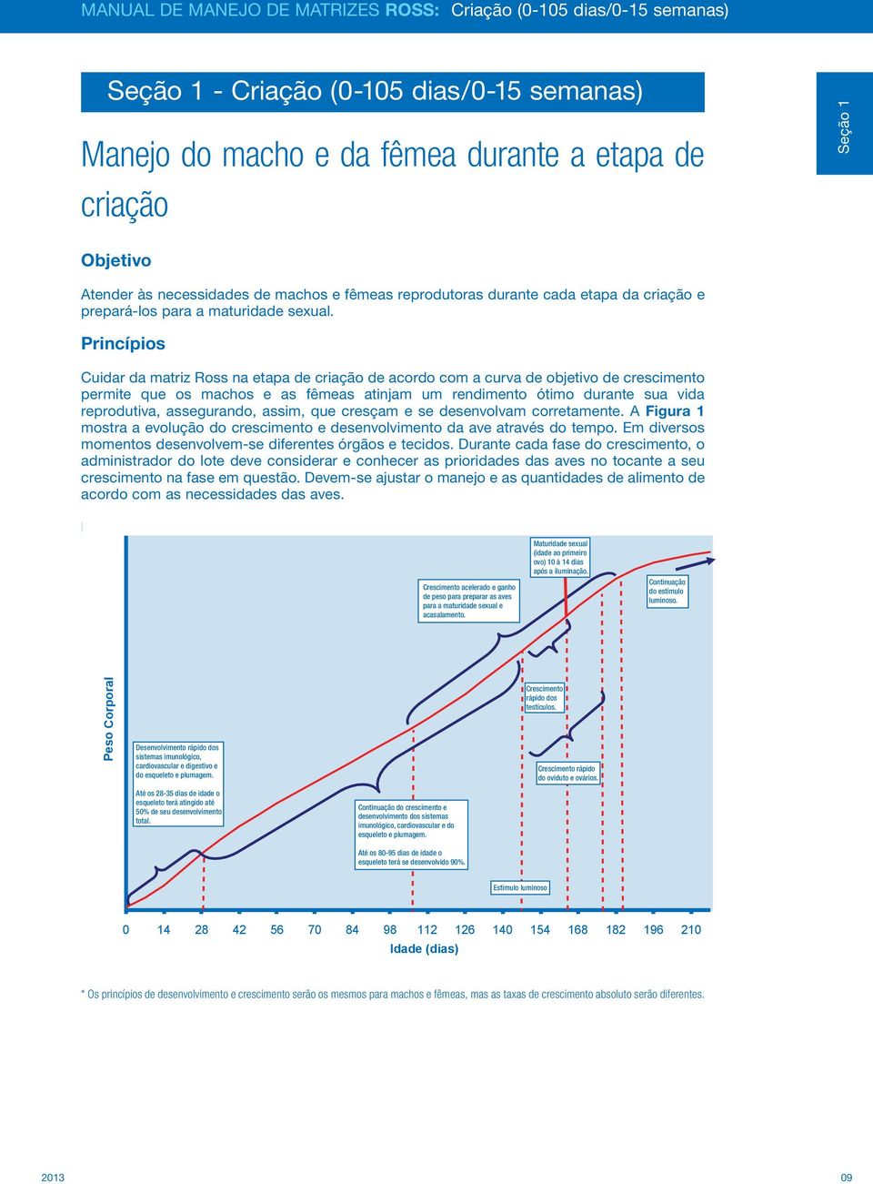 Princípios Cuidar da matriz Ross na etapa de criação de acordo com a curva de objetivo de crescimento permite que os machos e as fêmeas atinjam um rendimento ótimo durante sua vida reprodutiva,