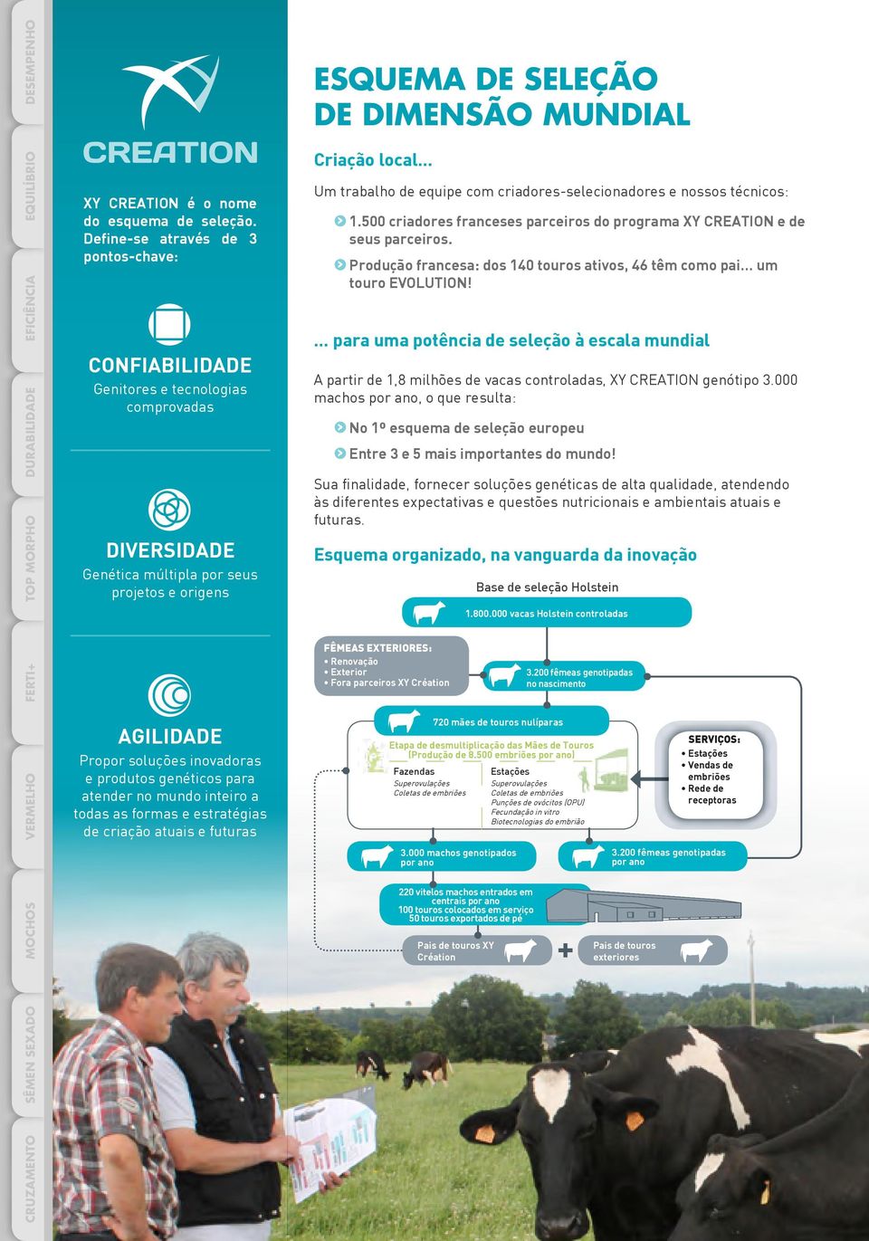 genéticos para atender no mundo inteiro a todas as formas e estratégias de criação atuais e futuras ESQUEMA DE SELEÇÃO DE DINSÃO MUNDIAL Criação local Um trabalho de equipe com