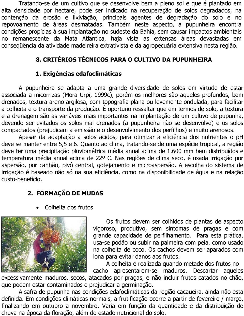 Também neste aspecto, a pupunheira encontra condições propícias à sua implantação no sudeste da Bahia, sem causar impactos ambientais no remanescente da Mata Atlântica, haja vista as extensas áreas