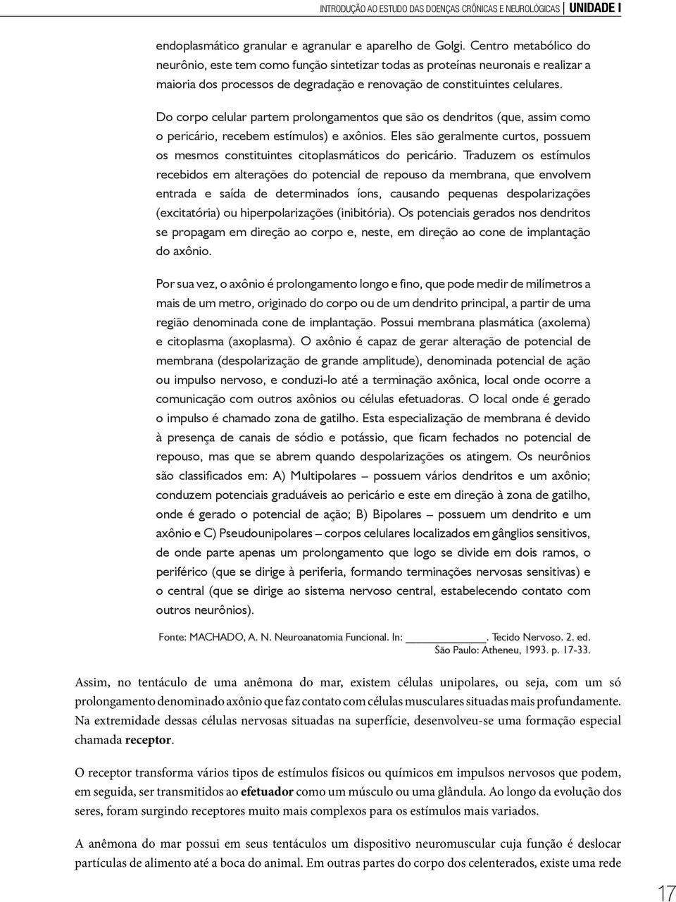 Do corpo celular partem prolongamentos que são os dendritos (que, assim como o pericário, recebem estímulos) e axônios.