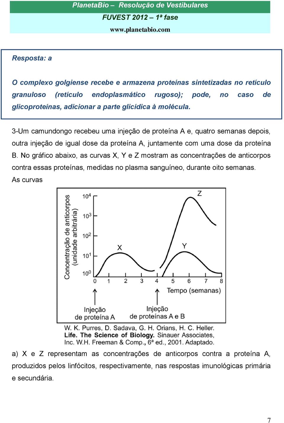 3-Um camundongo recebeu uma injeção de proteína A e, quatro semanas depois, outra injeção de igual dose da proteína A, juntamente com uma dose da proteína B.