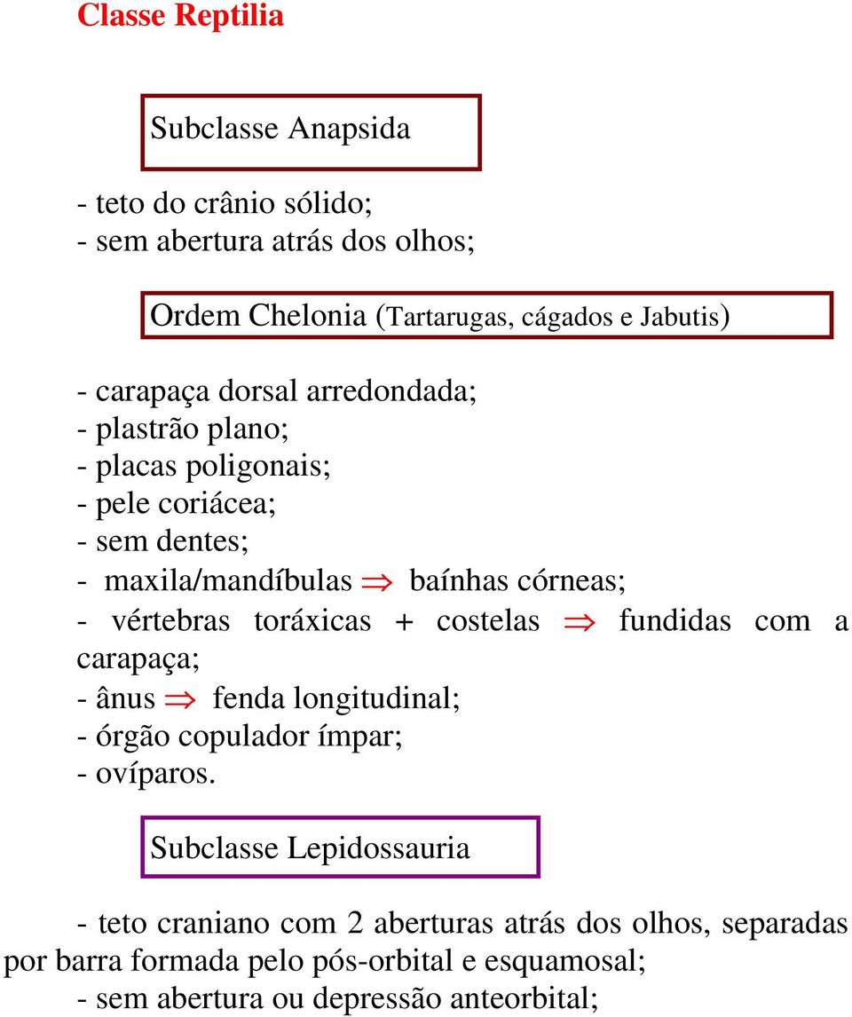 vértebras toráxicas + costelas fundidas com a carapaça; - ânus fenda longitudinal; - órgão copulador ímpar; - ovíparos.