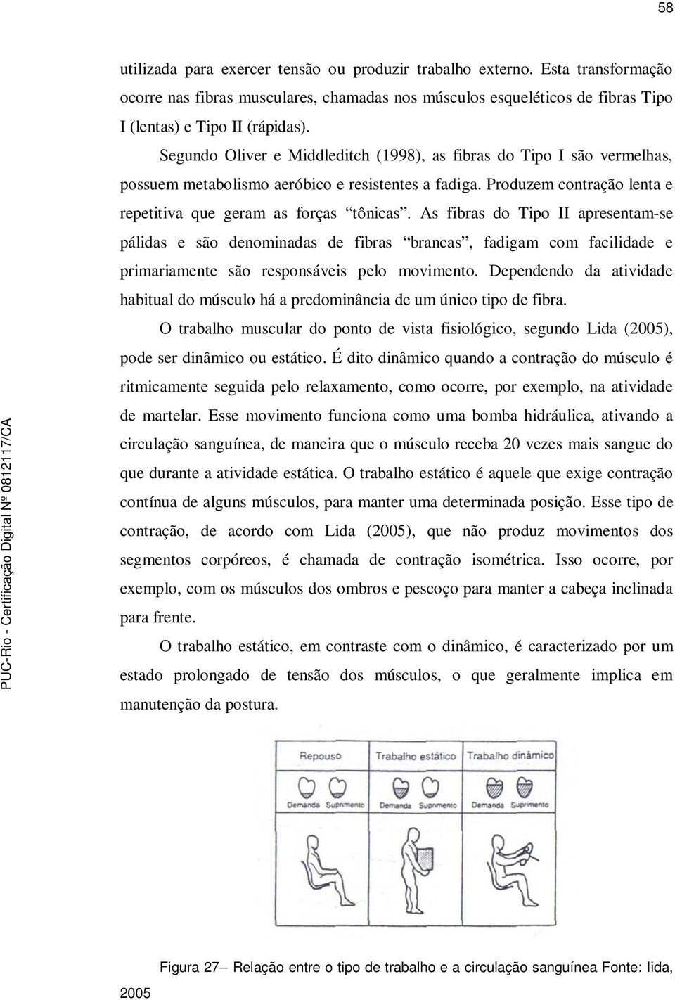 As fibras do Tipo II apresentam-se pálidas e são denominadas de fibras brancas, fadigam com facilidade e primariamente são responsáveis pelo movimento.