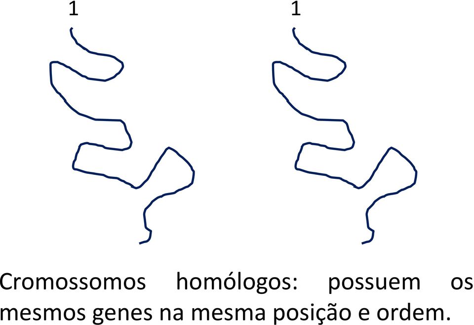 os mesmos genes na