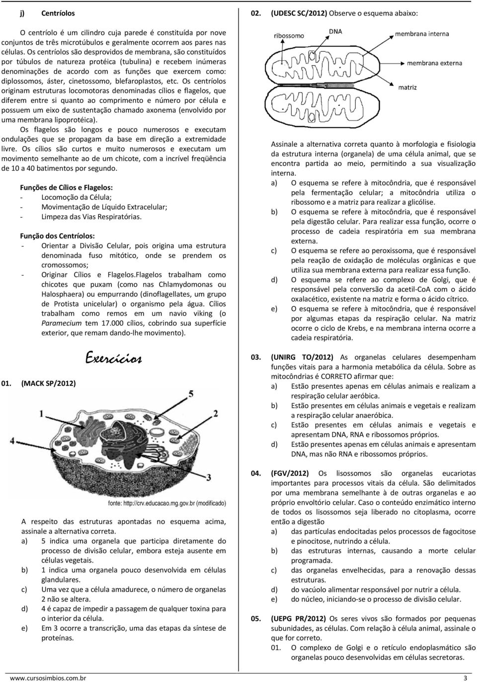 cinetossomo, blefaroplastos, etc.