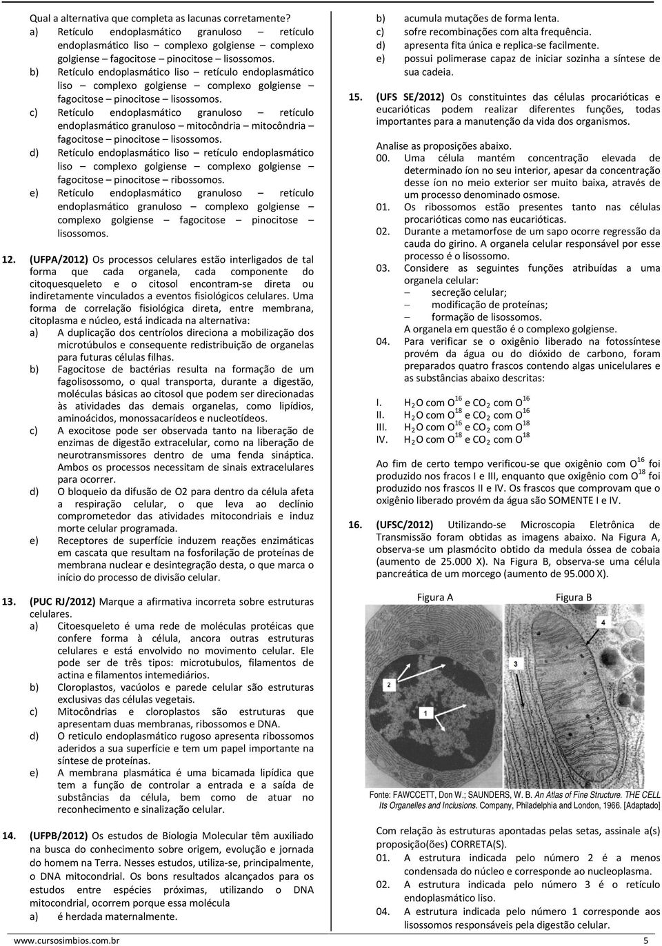 c) Retículo endoplasmático granuloso retículo endoplasmático granuloso mitocôndria mitocôndria fagocitose pinocitose lisossomos.