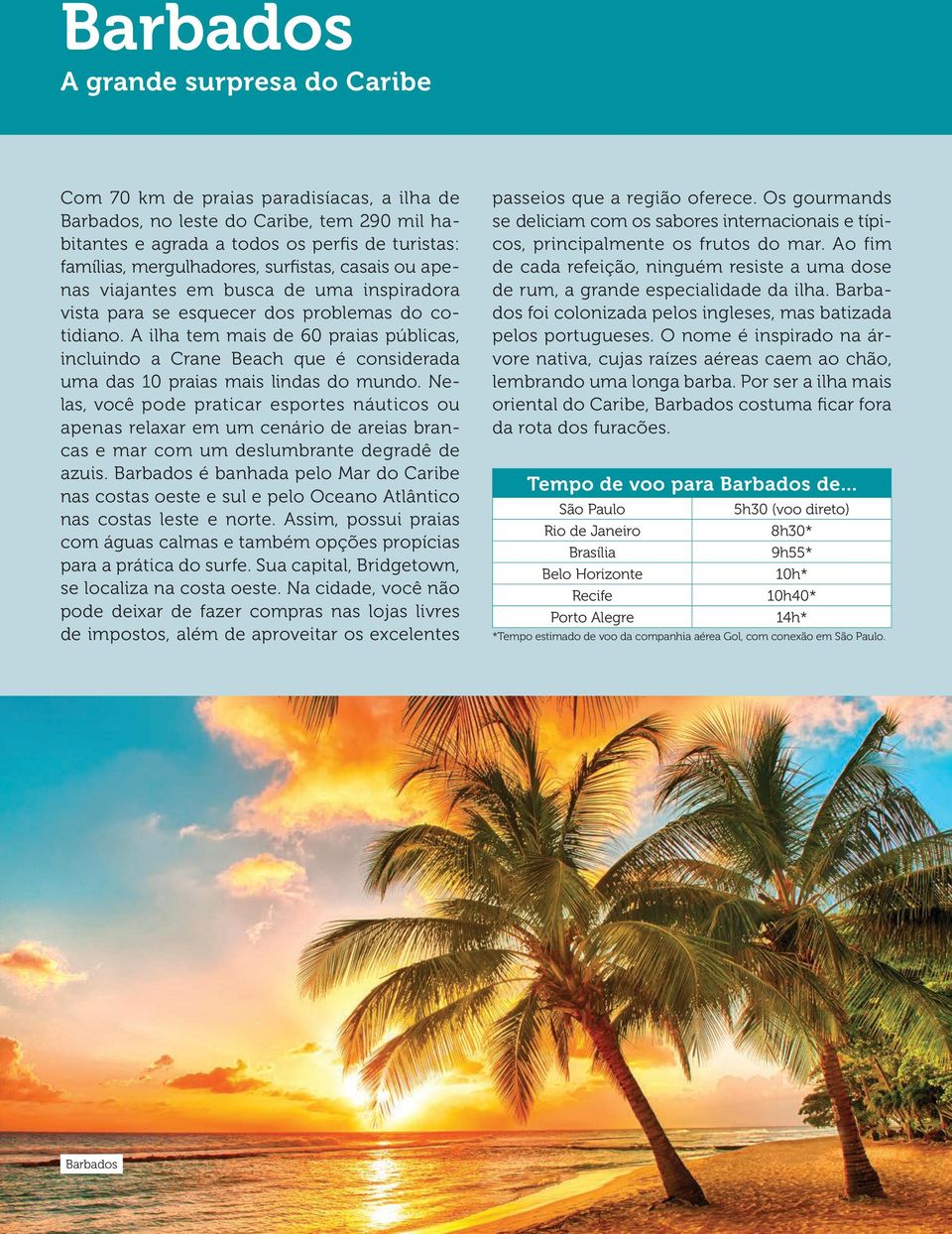 A ilha tem mais de 60 praias públicas, incluindo a Crane Beach que é considerada uma das 10 praias mais lindas do mundo.