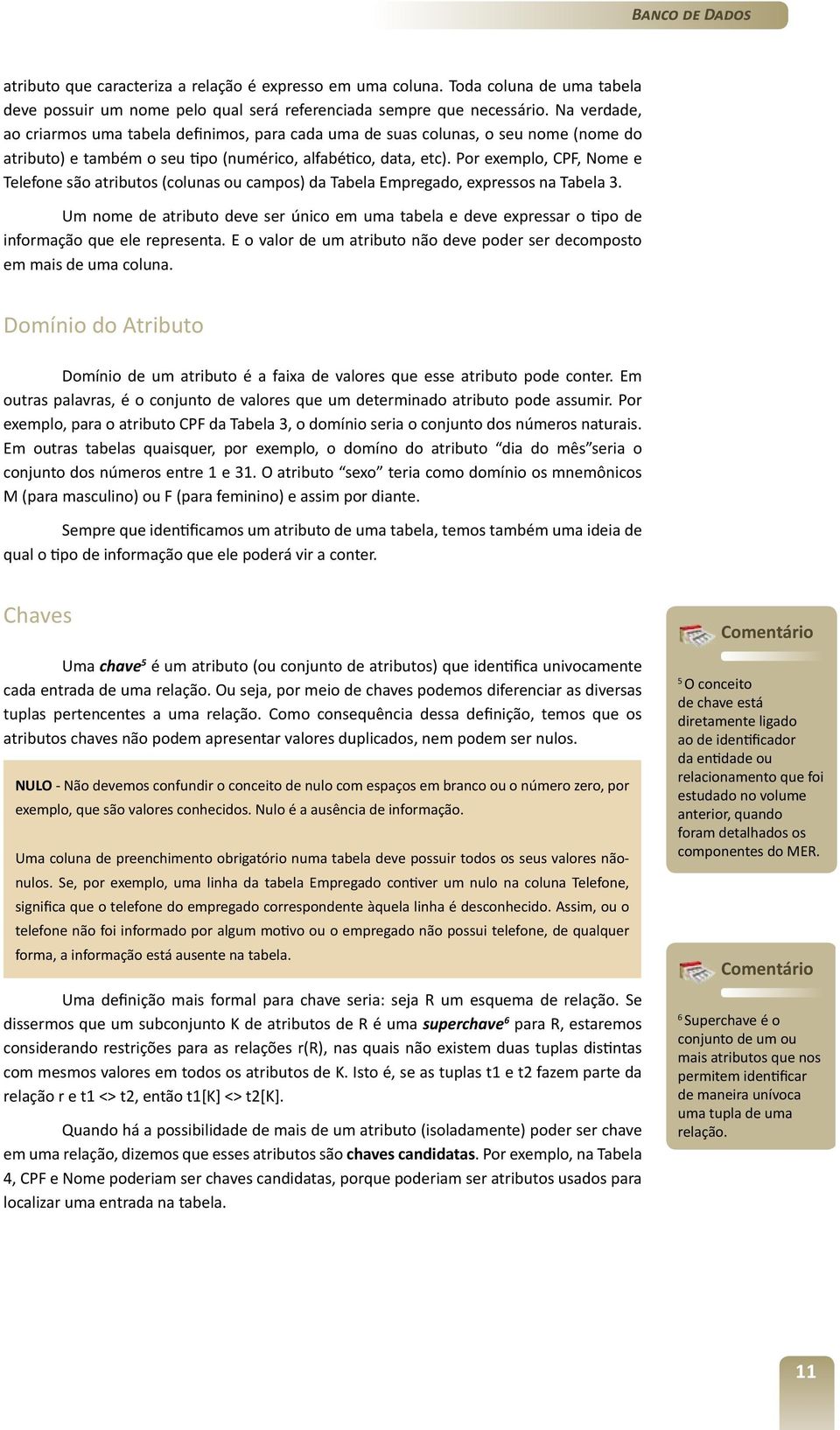 Por exemplo, CPF, Nome e Telefone são atributos (colunas ou campos) da Tabela Empregado, expressos na Tabela 3.