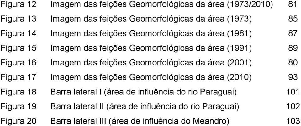 das feições Geomorfológicas da área (2001) Imagem das feições Geomorfológicas da área (2010) 80 93 Figura 18 Barra lateral I (área de influência