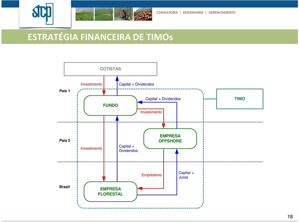Investimento TIMO País 2 Investimento Capital + Dividendos