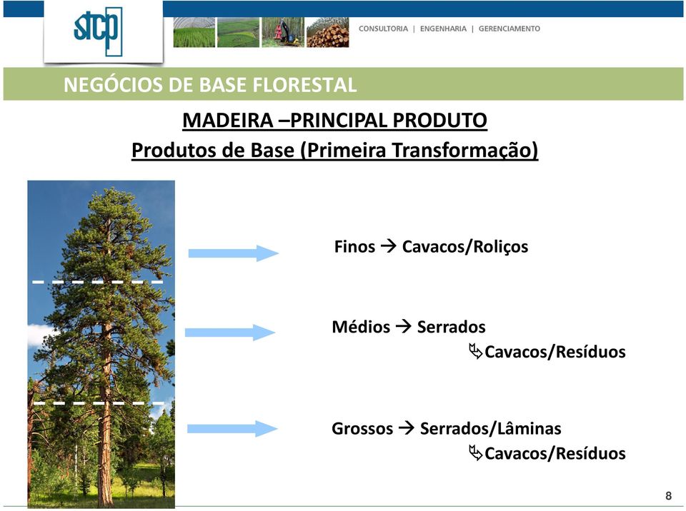 Transformação) Finos Cavacos/Roliços Médios