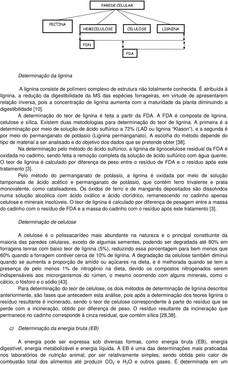 diminuindo a digestibilidade [10]. A determinação do teor de lignina é feita a partir da FDA. A FDA é composta de lignina, celulose e sílica.