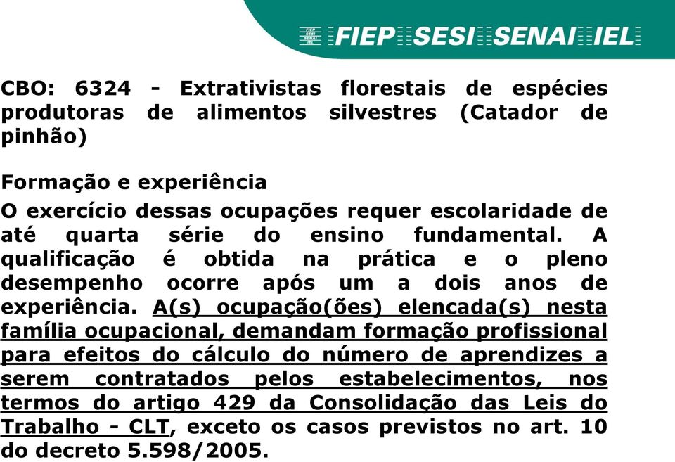 A qualificação é obtida na prática e o pleno desempenho ocorre após um a dois anos de experiência.