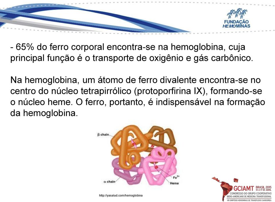 Na hemoglobina, um átomo de ferro divalente encontra-se no centro do núcleo