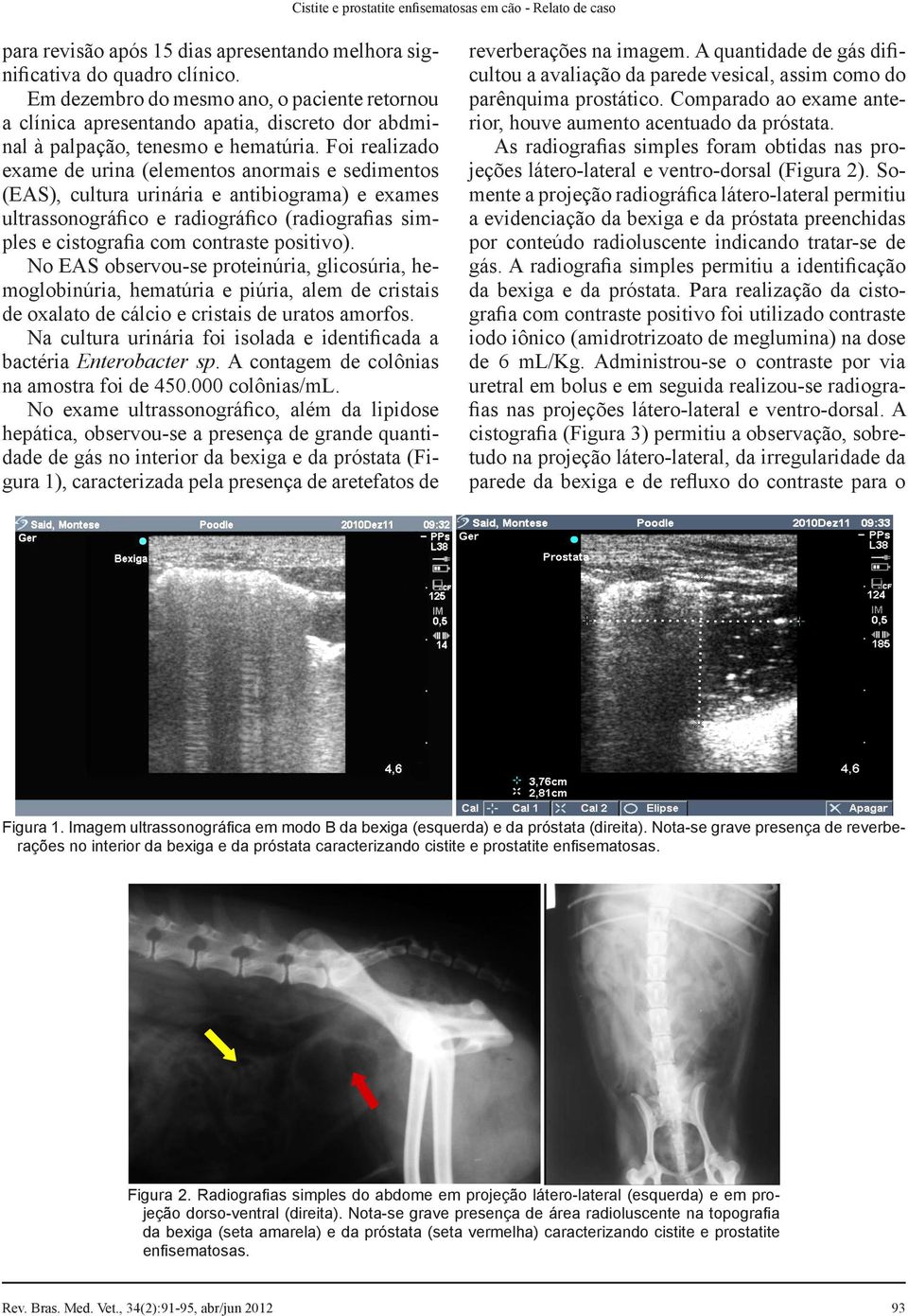 Foi realizado exame de urina (elementos anormais e sedimentos (EAS), cultura urinária e antibiograma) e exames ultrassonográfico e radiográfico (radiografias simples e cistografia com contraste