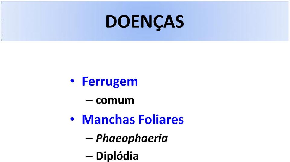 Manchas