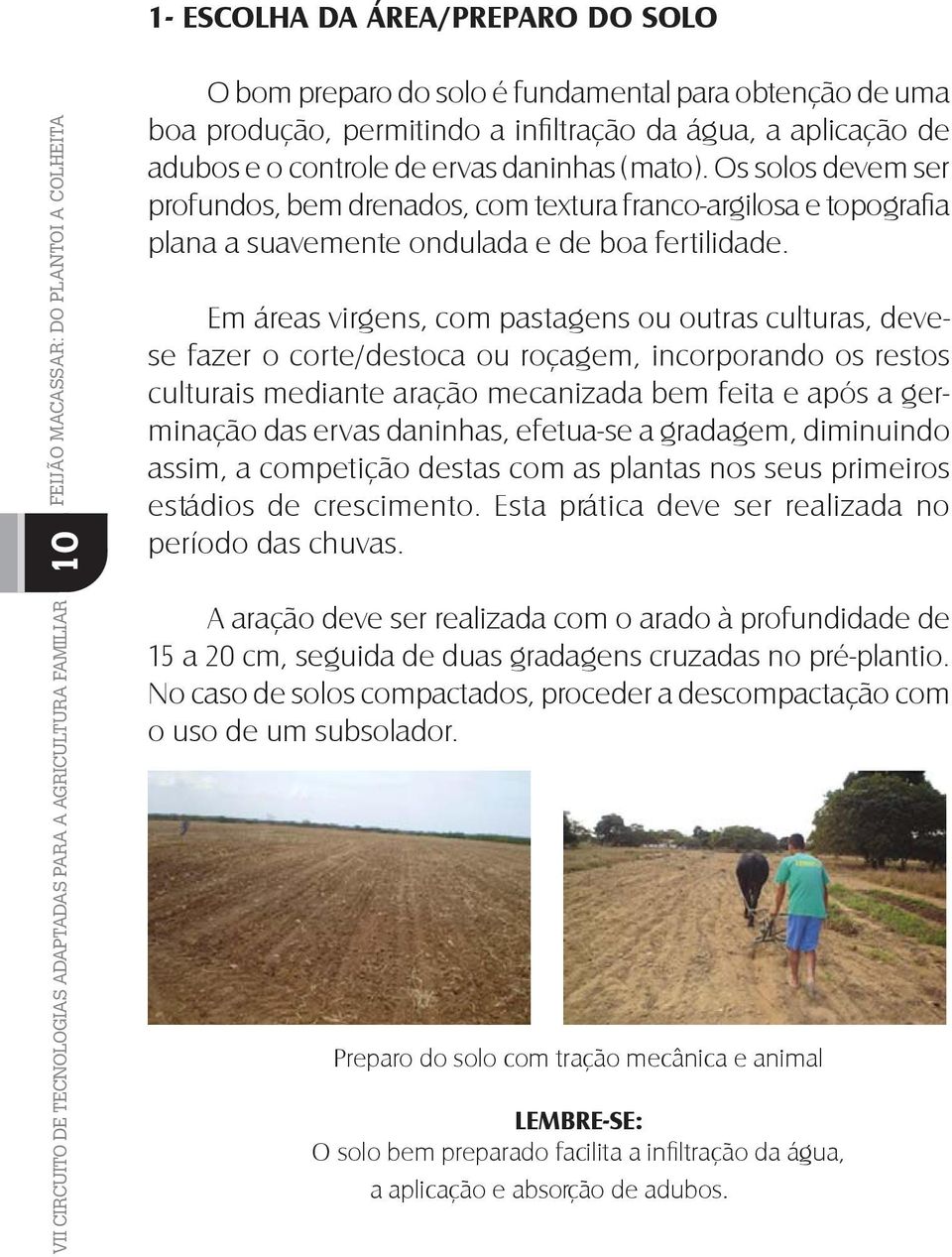 Em áreas virgens, com pastagens ou outras culturas, devese fazer o corte/destoca ou roçagem, incorporando os restos culturais mediante aração mecanizada bem feita e após a germinação das ervas