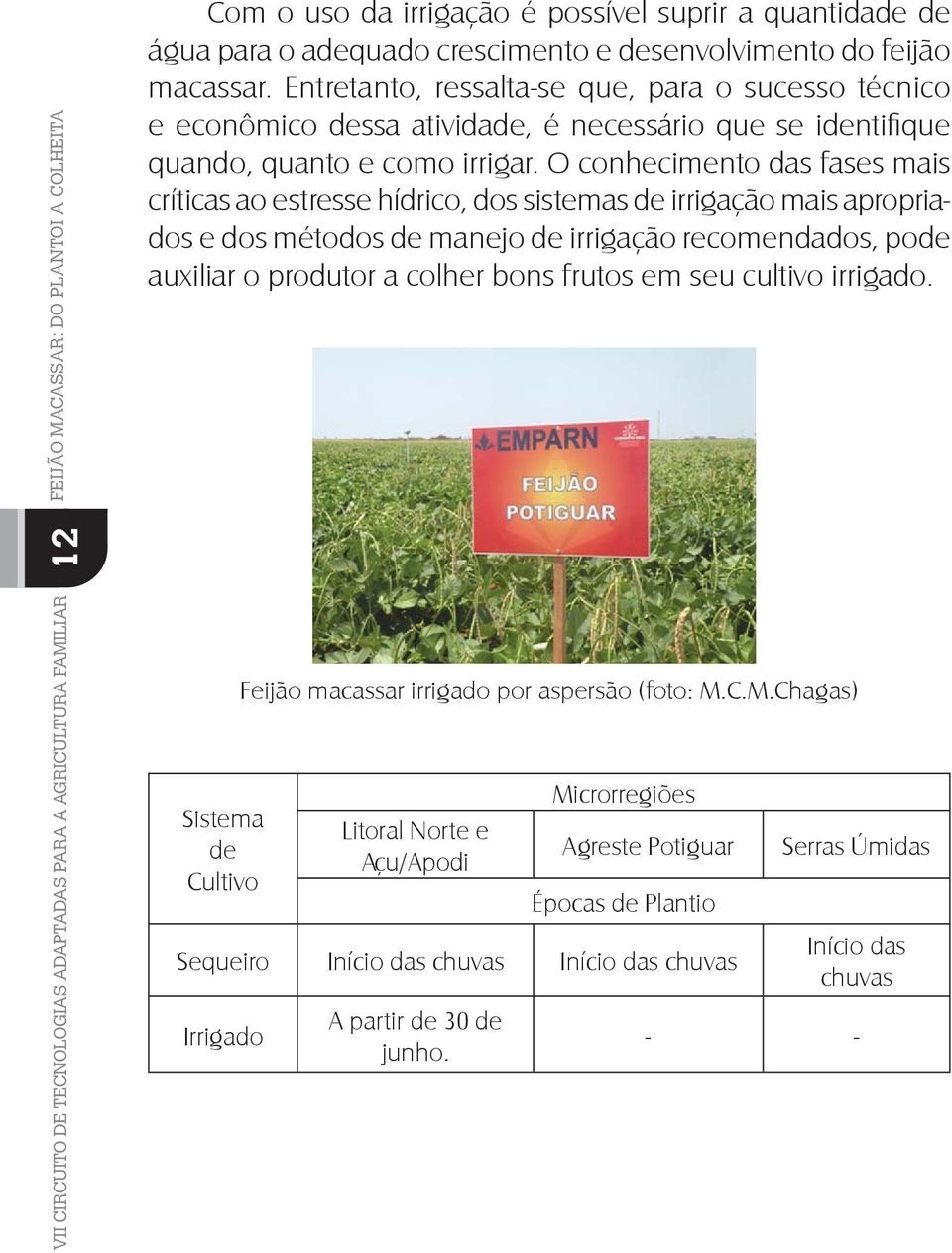 O conhecimento das fases mais críticas ao estresse hídrico, dos sistemas de irrigação mais apropriados e dos métodos de manejo de irrigação recomendados, pode auxiliar o produtor a colher