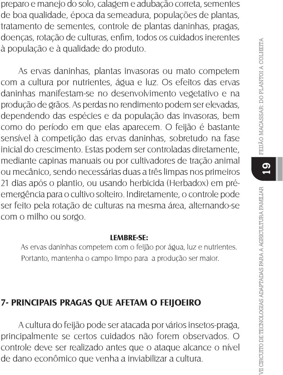 Os efeitos das ervas daninhas manifestam-se no desenvolvimento vegetativo e na produção de grãos.