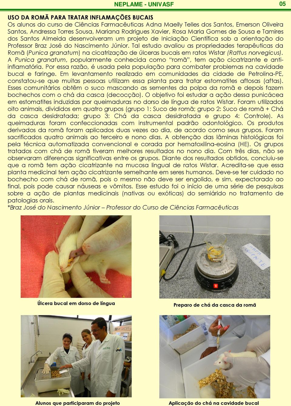 Tal estudo avaliou as propriedades terapêuticas da Romã (Punica granatum) na cicatrização de úlceras bucais em ratos Wistar (Rattus norvegicus).