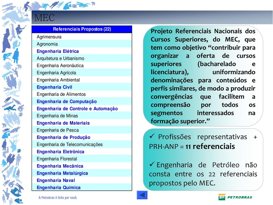 Eletrônica Engenharia Florestal Engenharia Mecânica Engenharia Metalúrgica Engenharia Naval Engenharia Química Projeto Referenciais Nacionais dos Cursos Superiores, do MEC, que tem como objetivo