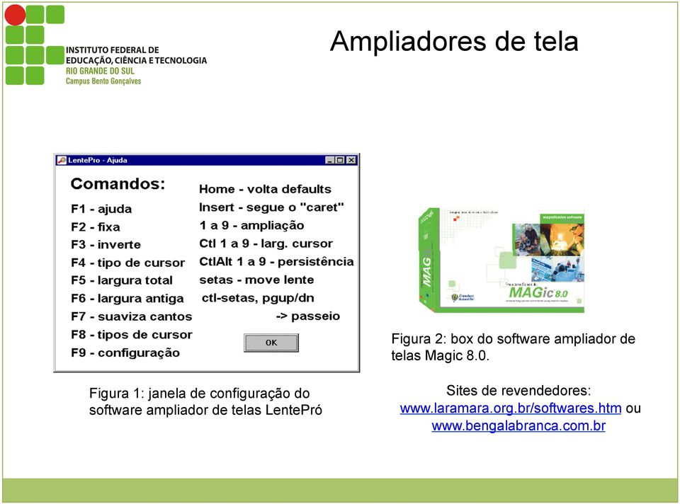 Figura 1: janela de configuração do software ampliador de