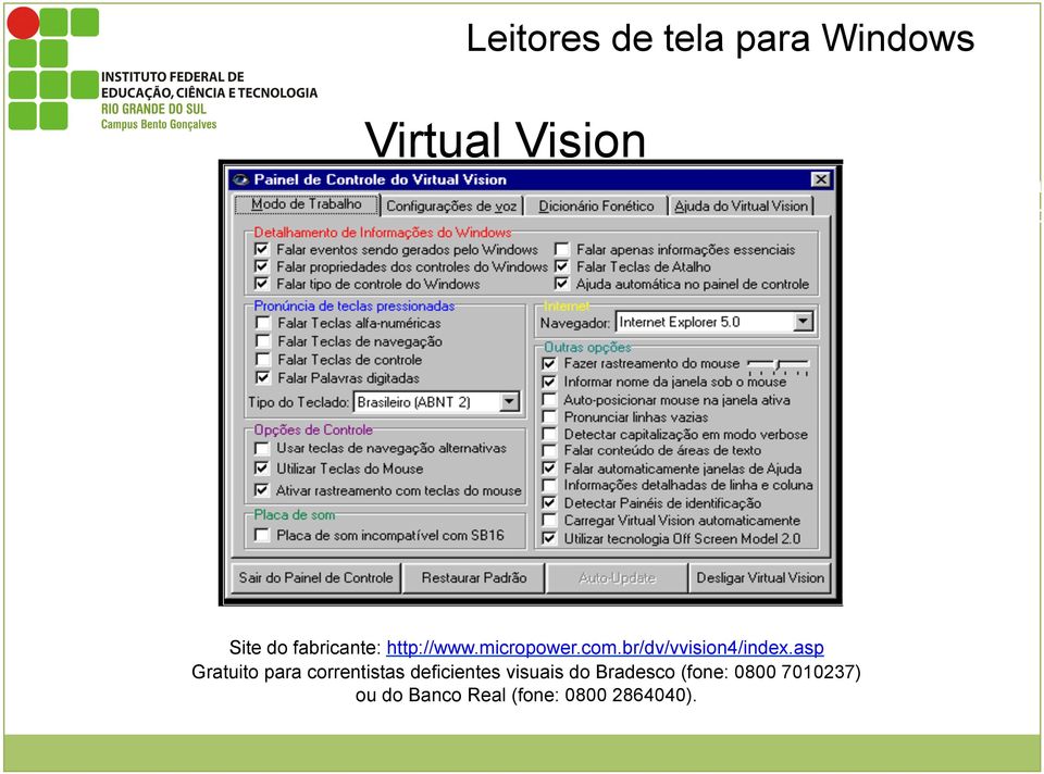 Figura 1:Painel de Controle do Virtual Vision Site do fabricante: http://www.micropower.com.