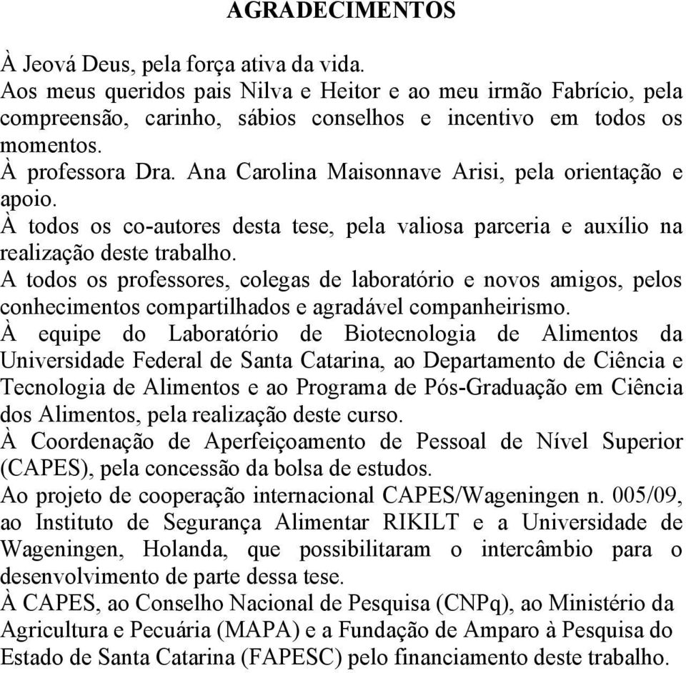 A todos os professores, colegas de laboratório e novos amigos, pelos conhecimentos compartilhados e agradável companheirismo.