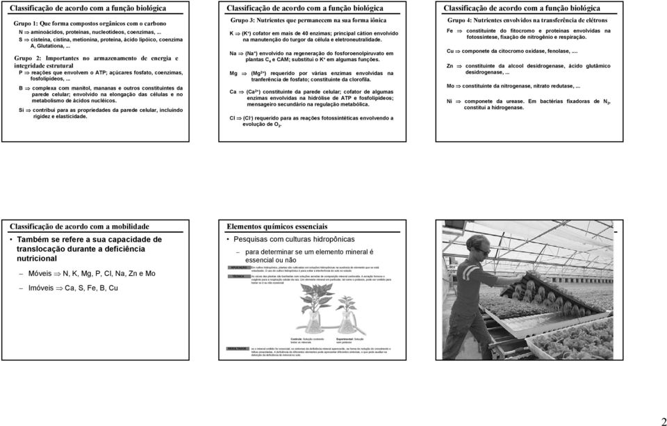 .. Grupo 2: Importantes no armazenamento de energia e integridade estrutural P reações que envolvem o ATP; açúcares fosfato, coenzimas, fosfolipídeos,.