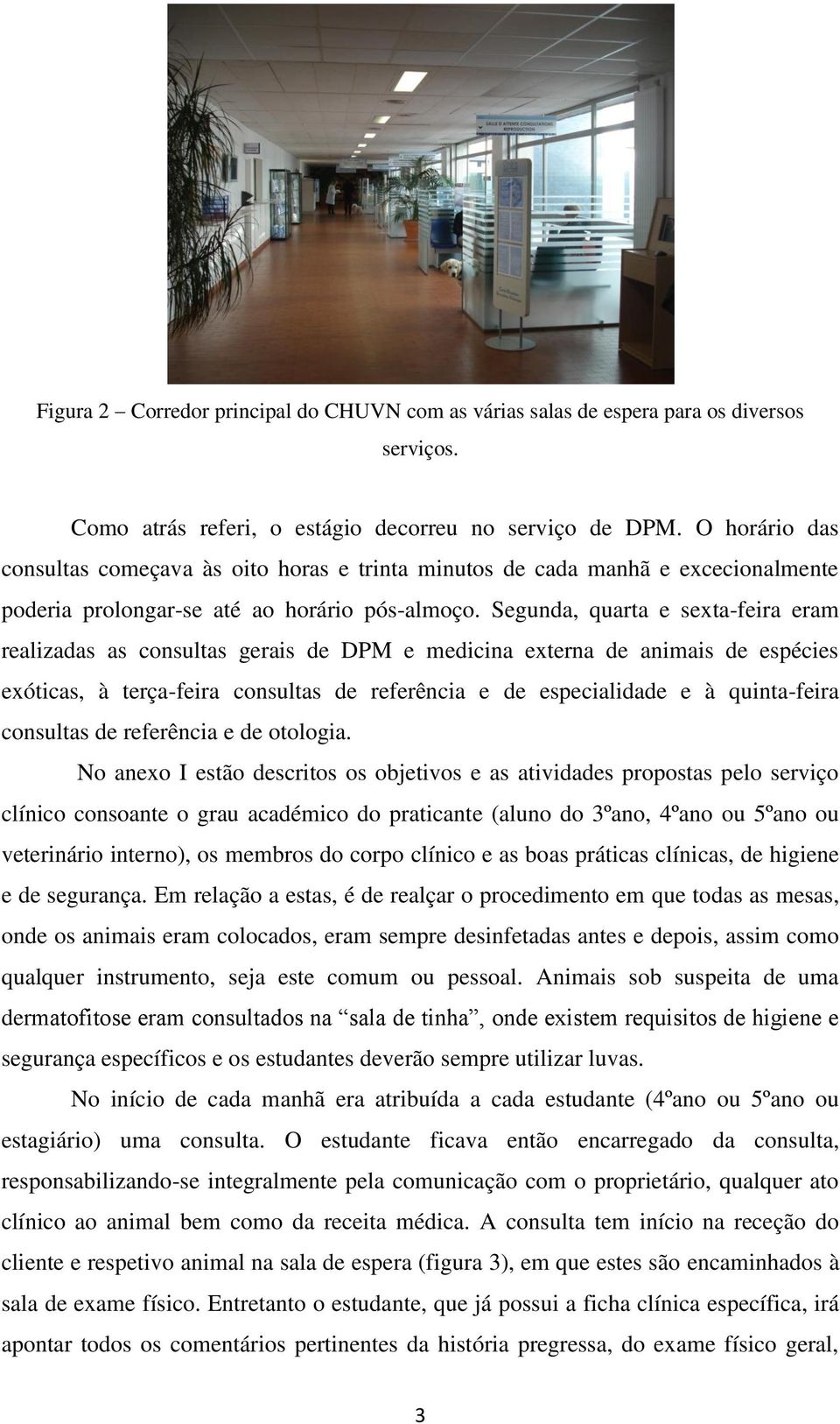 Segunda, quarta e sexta-feira eram realizadas as consultas gerais de DPM e medicina externa de animais de espécies exóticas, à terça-feira consultas de referência e de especialidade e à quinta-feira