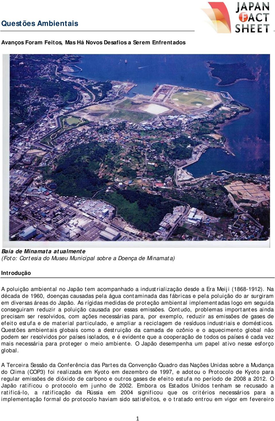 Na década de 1960, doenças causadas pela água contaminada das fábricas e pela poluição do ar surgiram em diversas áreas do Japão.