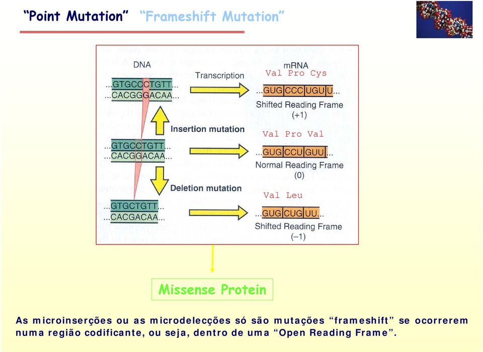 microdelecções só são mutações frameshift se ocorrerem