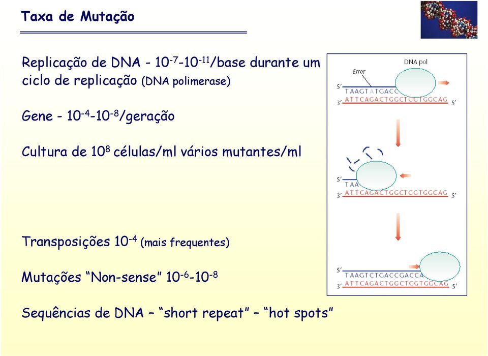 10 8 células/ml vários mutantes/ml Transposições 10-4 (mais