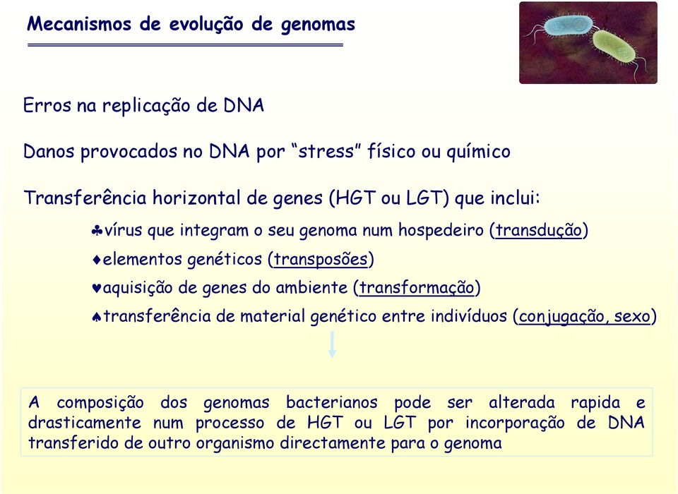 genes do ambiente (transformação) transferência de material genético entre indivíduos (conjugação, sexo) A composição dos genomas bacterianos