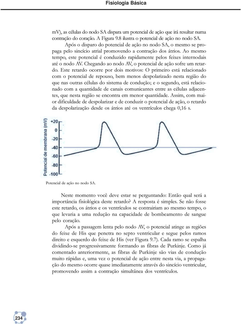 Ao mesmo tempo, este potencial é conduzido rapidamente pelos feixes internodais até o nodo AV. Chegando ao nodo AV, o potencial de ação sofre um retardo.