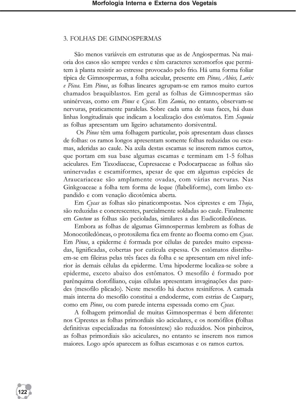 Há uma forma foliar típica de Gimnospermas, a folha acicular, presente em Pinus, Abies, Larix e Picea. Em Pinus, as folhas lineares agrupam-se em ramos muito curtos chamados braquiblastos.